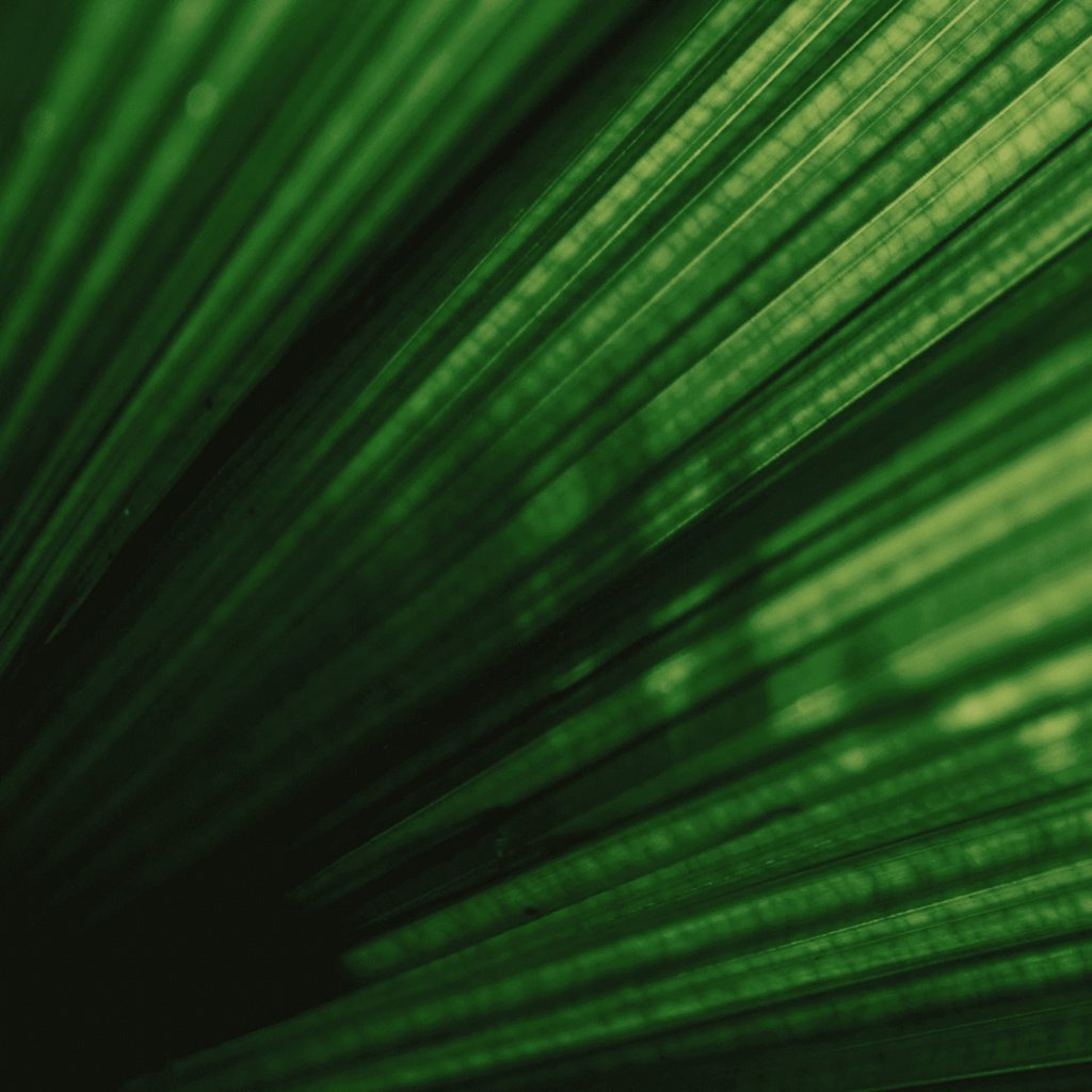 felixtschopp_inisghts_visual_01