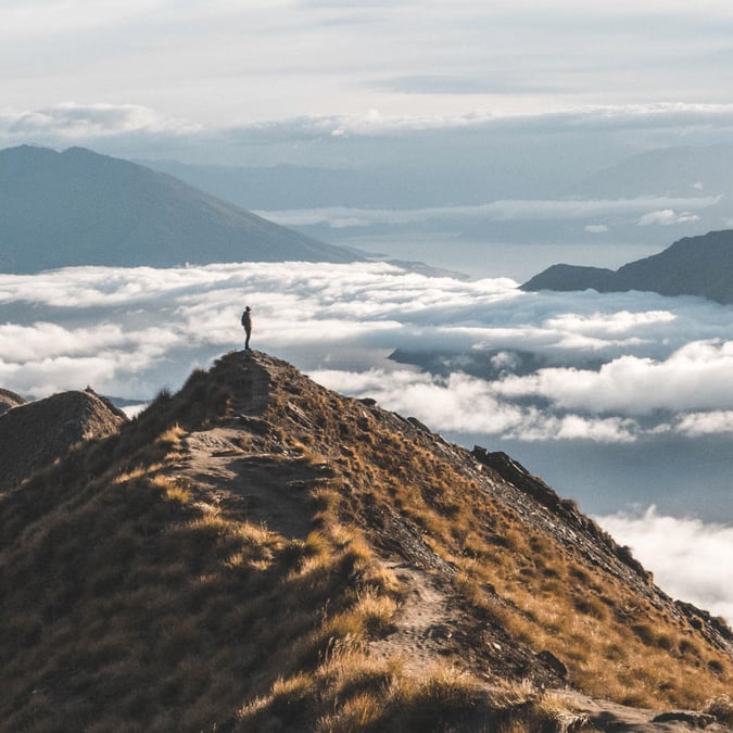 felixtschopp_inisghts_visual_10
